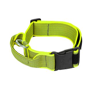 JULIUS K9 Collar asa de agarre neon para perros