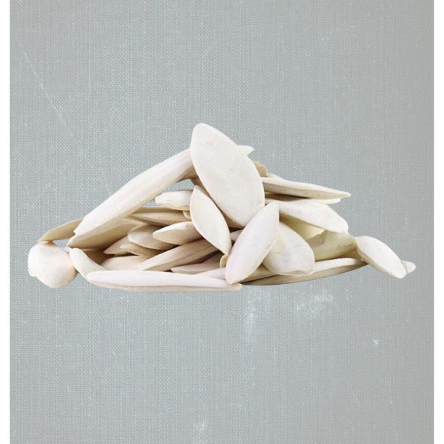 Huesos De Sepia Huesos De Sepia A Granel para aves thumbnail