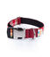 Collar Pamppy Funny Tartán rojo para perros, , large indicador imagen numero 1