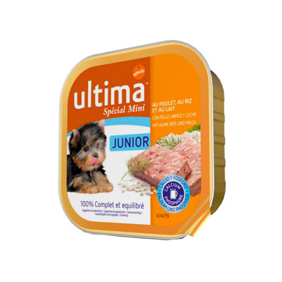 4 tarrinas x 150 g Affinity Ultima Junior Mini Pollo tarrina para perros &iexcl;Pack ahorro!, , large Imagen numero 1