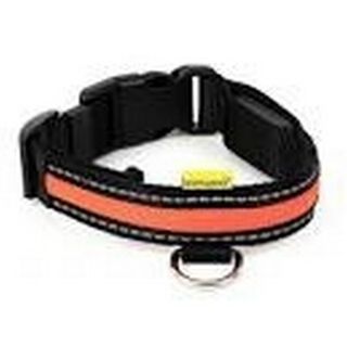 Collar de nylon con LED para perros color Naranja