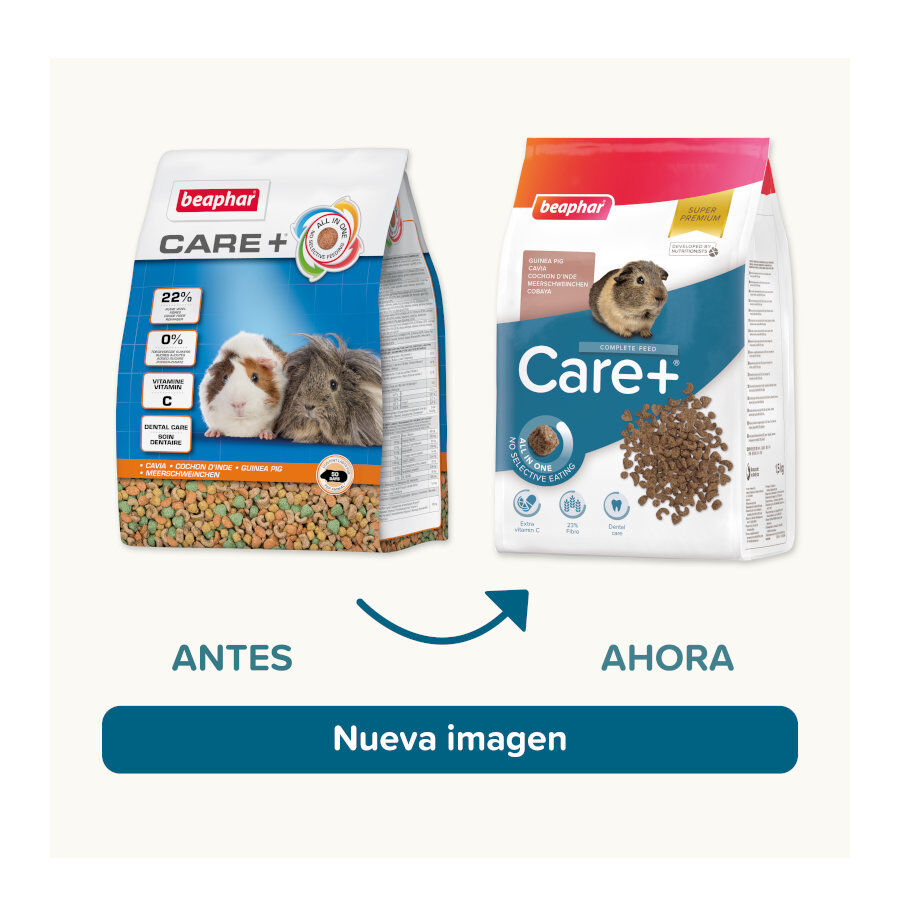 Beaphar Care + Pienso para cobayas, , large Imagen numero 2