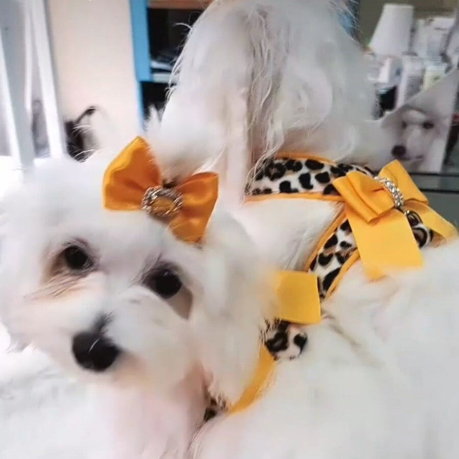 Ideal Pets, Arn&eacute;s para perros, modelo  Sharisa Verano, , large Imagen numero 3