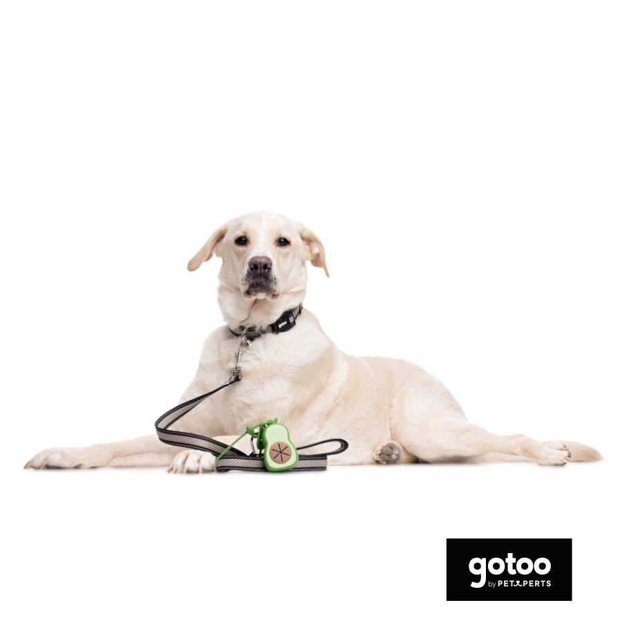 Gotoo Porta bolsas silicona avocado para perros thumbnail