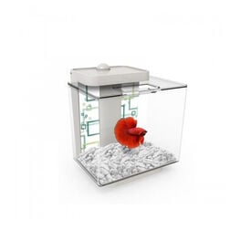 Marina Kit acuario blanco bettera Betta Ez Care para peces