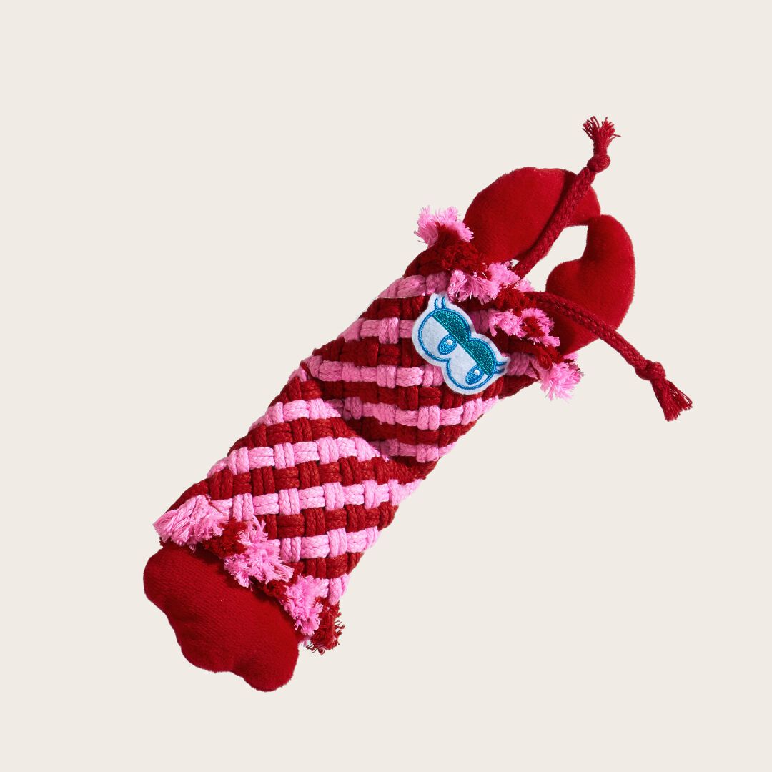 FOFOS | Langosta con Cuerda - Para Perro, , large Imagen numero 2