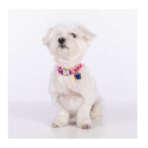 Collar Groc Groc lucky camuflaje color Rosa, , large Imagen numero 2