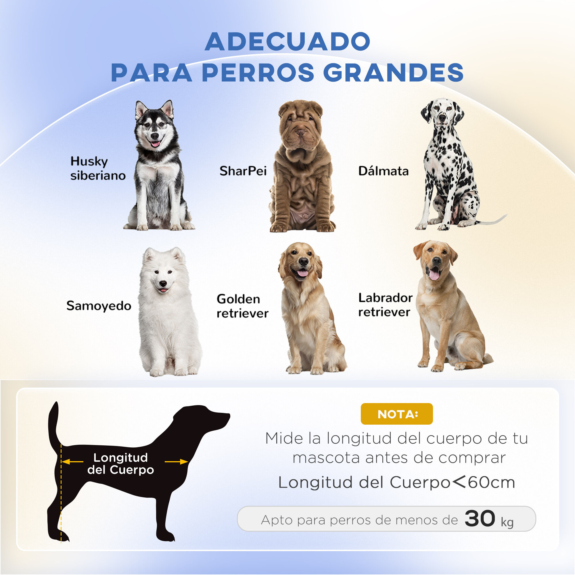 PawHut Sof&aacute; para Perros Grandes Sof&aacute; para Mascotas con Coj&iacute;n Extra&iacute;ble Funda Lavable y Patas de Madera Carga 30 kg para Interior 100x70x25 cm Azul, , large Imagen numero 4