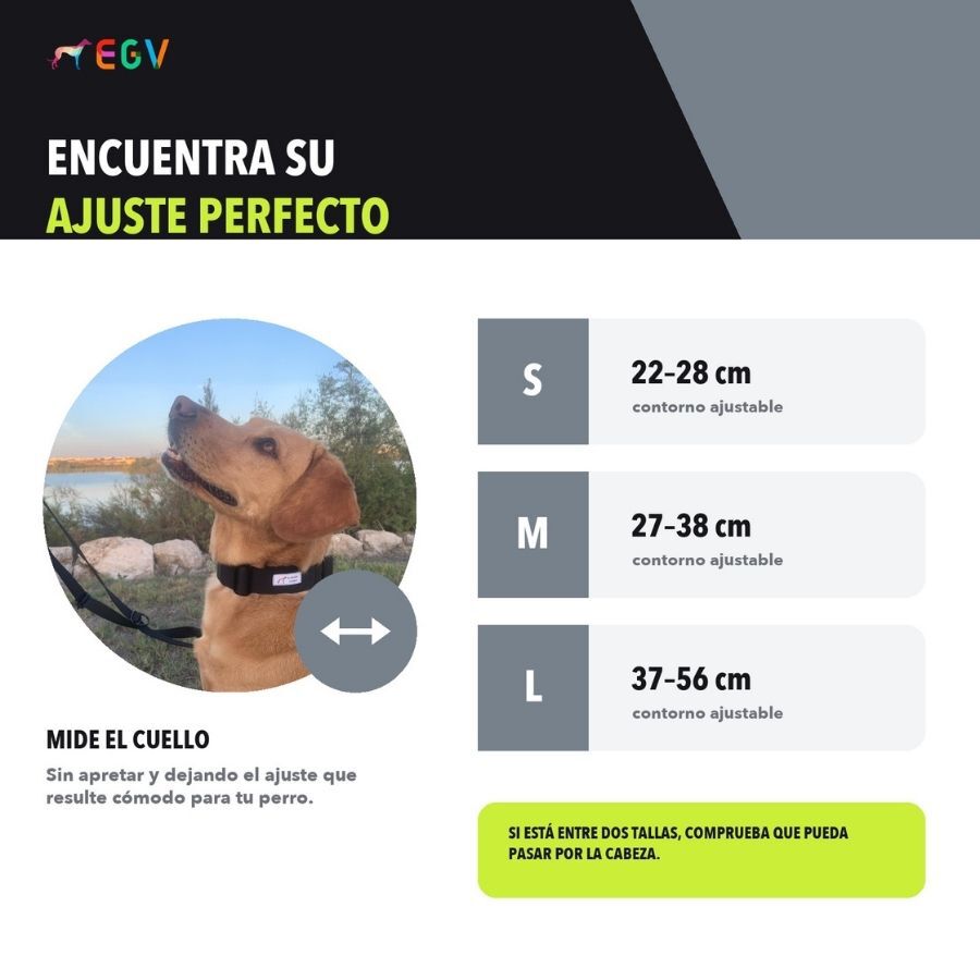 EGV - Collar Martingale. Collar galgo hecho a mano en Espa&ntilde;a (Negro), , large Imagen numero 5