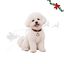 Wonder Christmas Colgante Collar Ping&uuml;ino para perros, , large indicador imagen numero 1