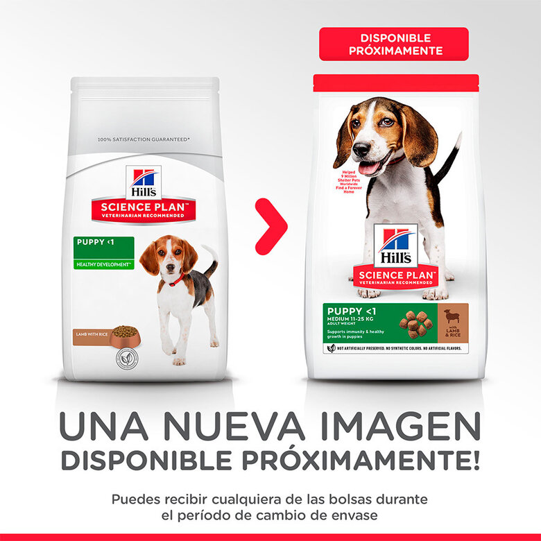pienso_perros_hills_puppy_medium_cachorro_cordero_new_pack_HIL7696M_M.jpg image number null