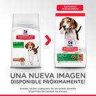pienso_perros_hills_puppy_medium_cachorro_cordero_new_pack_HIL7696M_M.jpg image number null