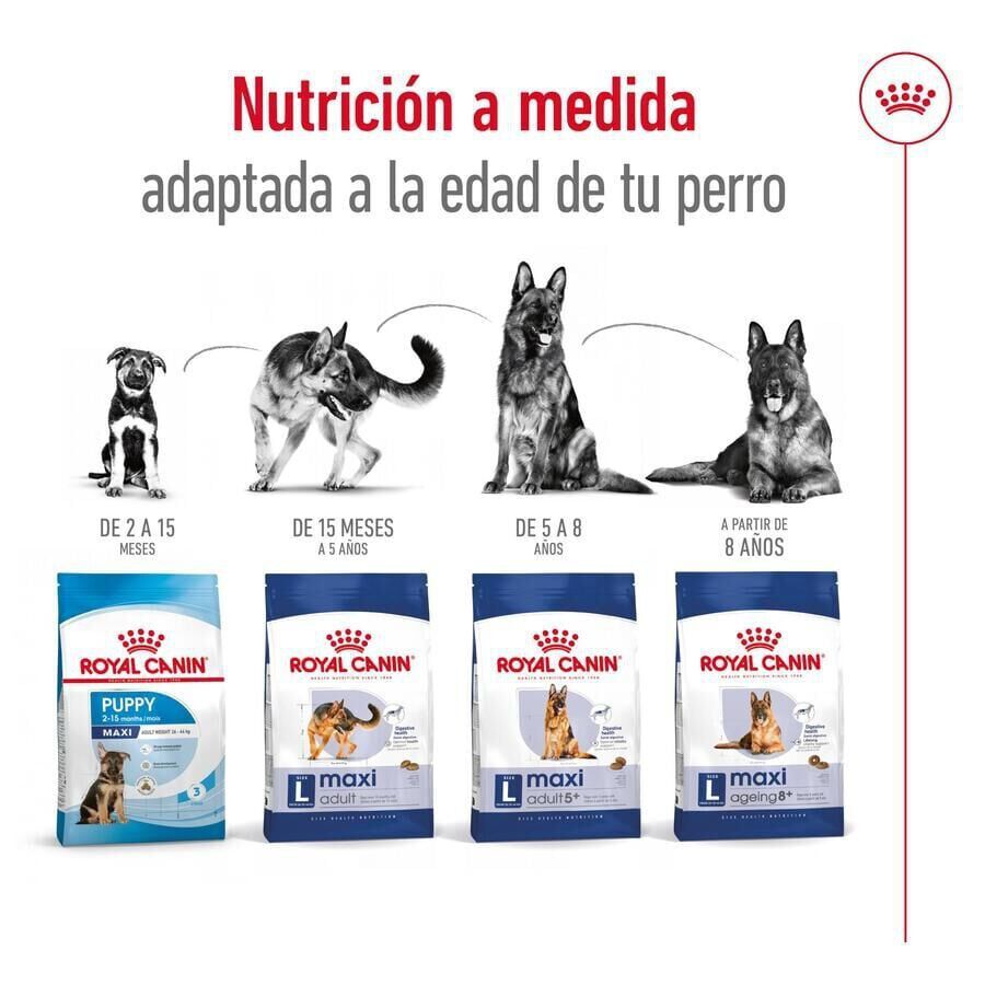 Royal Canin Maxi Adult pienso para perros thumbnail