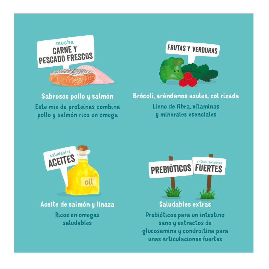 Lata Edgard &amp; Cooper Senior Pollo y Salmón lata para perros thumbnail