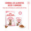 3.5 kg Royal Canin Kitten Sterilised pienso para gatos, , large indicador imagen numero 6