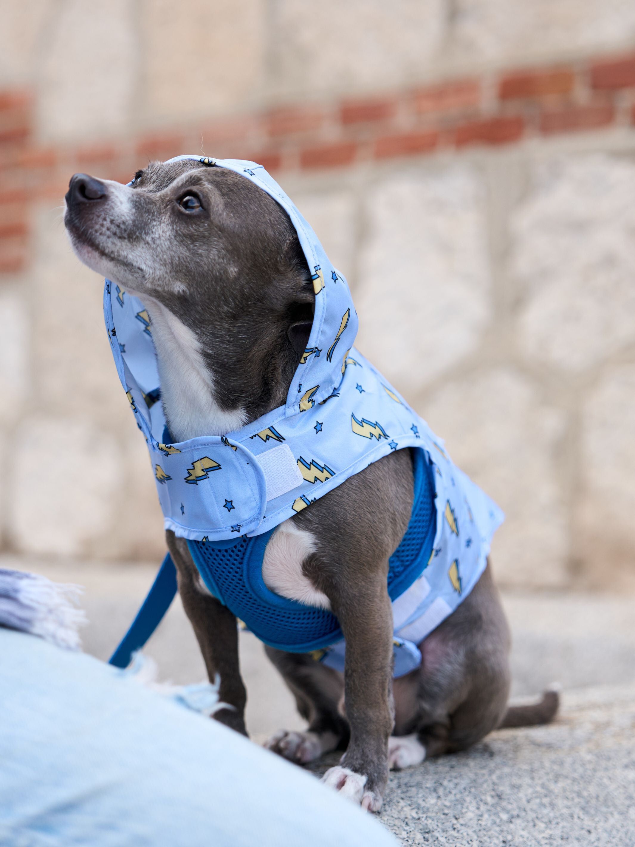 Chubasqueros Storm S, , large Imagen numero 4