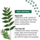 PETUCHI spray repelente de insectos natural para cachorros y perros, , large image number null