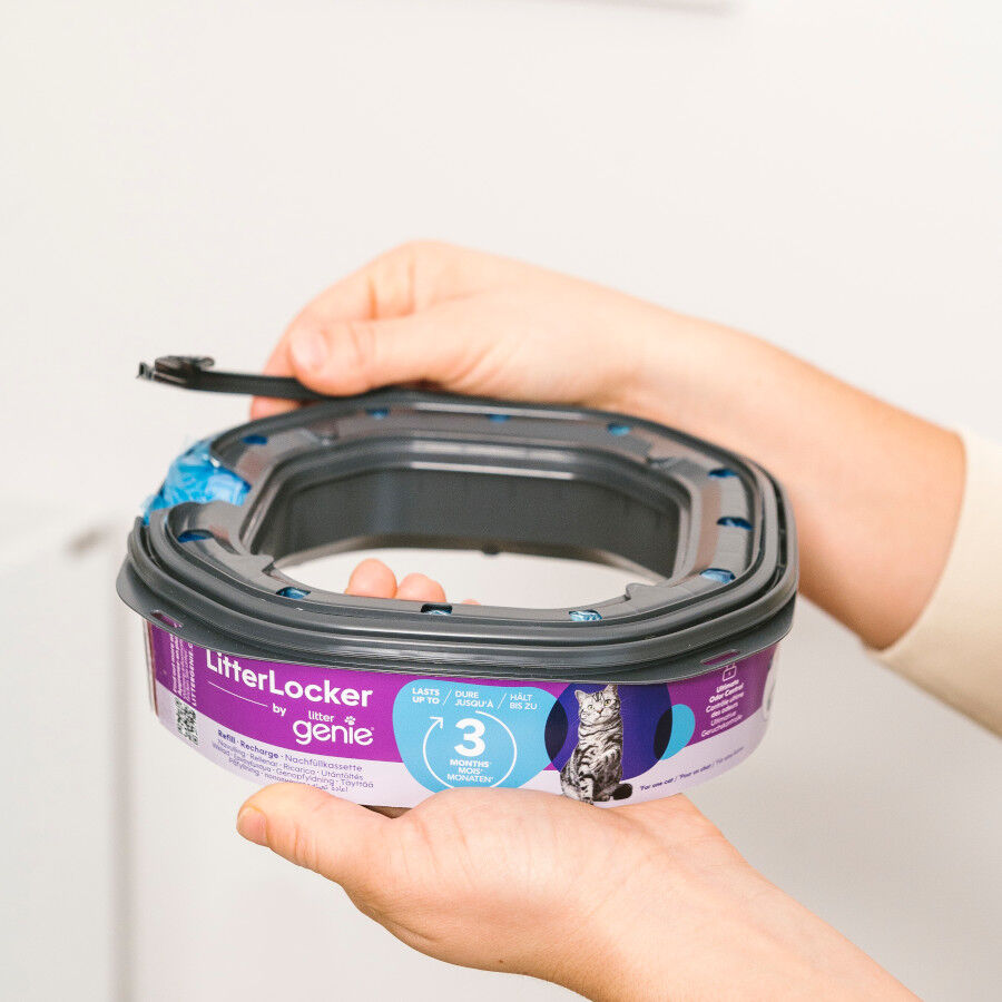 Litter Genie LitterLocker Recambio Cuadrado para gatos thumbnail