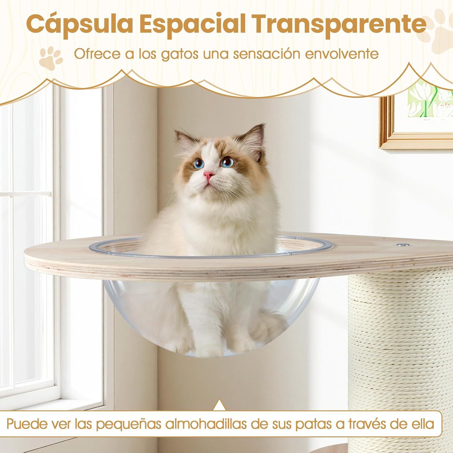 COSTWAY &Aacute;rbol Rascador Mediano para Gatos de Madera, Torre para Gatitos de 3 Niveles con C&aacute;psula Espacial Transparente, Condominio, Postes Rascadores y Alfombra Lavable, Cama para Gatos, 50x50x73cm, , large Imagen numero 3