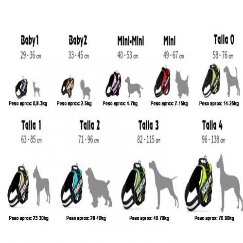 Arn&eacute;s Julius K9 para perros color Verde agua, , large Imagen numero 5