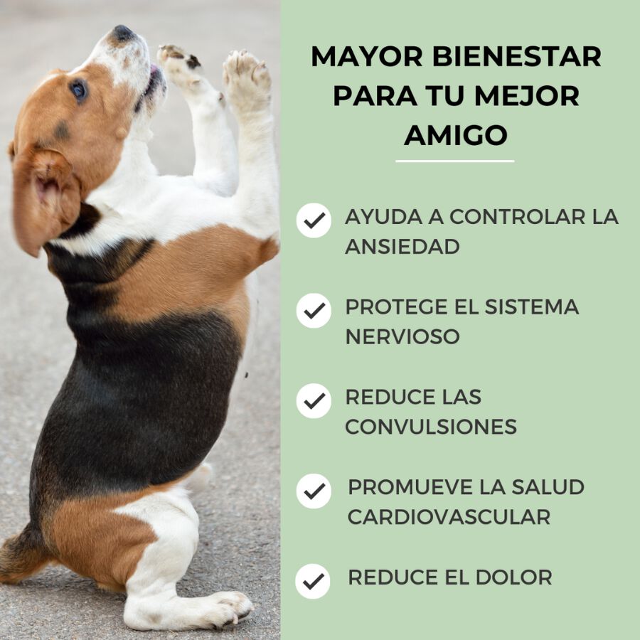 Feel Cocoa Aceite Cbd Para Mascotas thumbnail