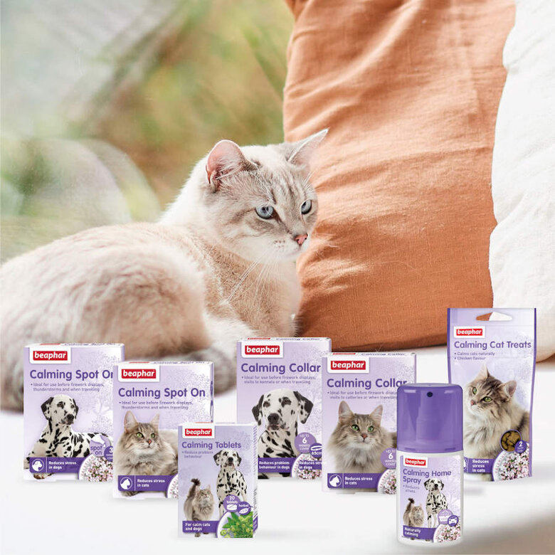 Beaphar No Stress Difusor y Recambio Relajantes para gatos, , large image number null