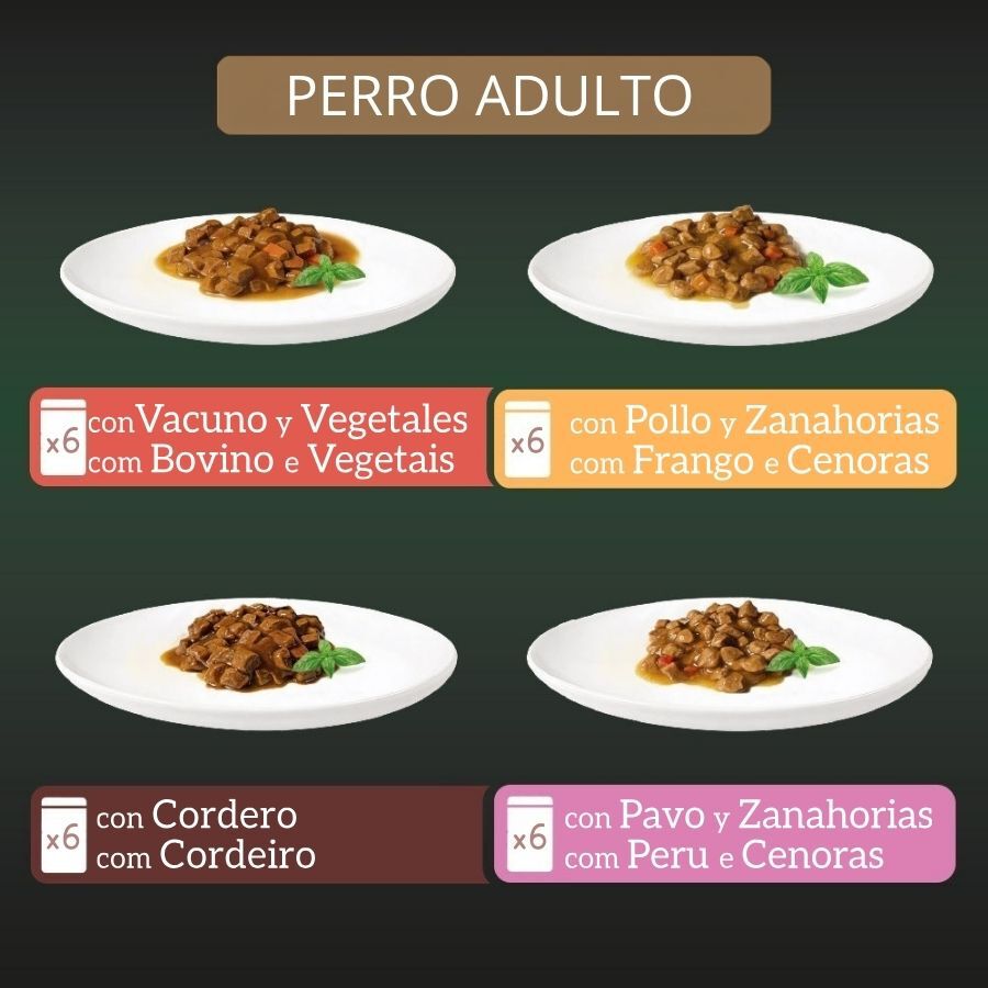 24 x 100 g Milord Adult Receta estilo casero en salsa Sobres para perros - Multipack, , large Imagen numero 3
