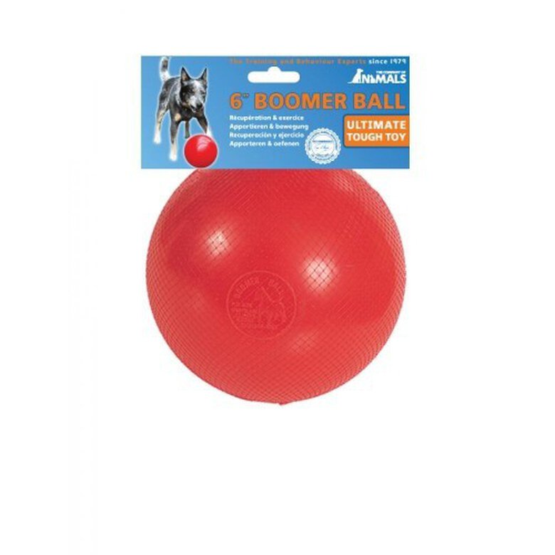 Pelota Boomer Ball de juguete para perros color Varios, , large image number null