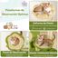COSTWAY Árbol para Gatos de Bosque, Torre Multinivel con Condo Tronco, Plataforma Floral Acolchada, Rascador de Sisal y Juguetes, Centro de Actividades para Gatitos y Adultos, Verde + Marrón, , large indicador imagen numero 3