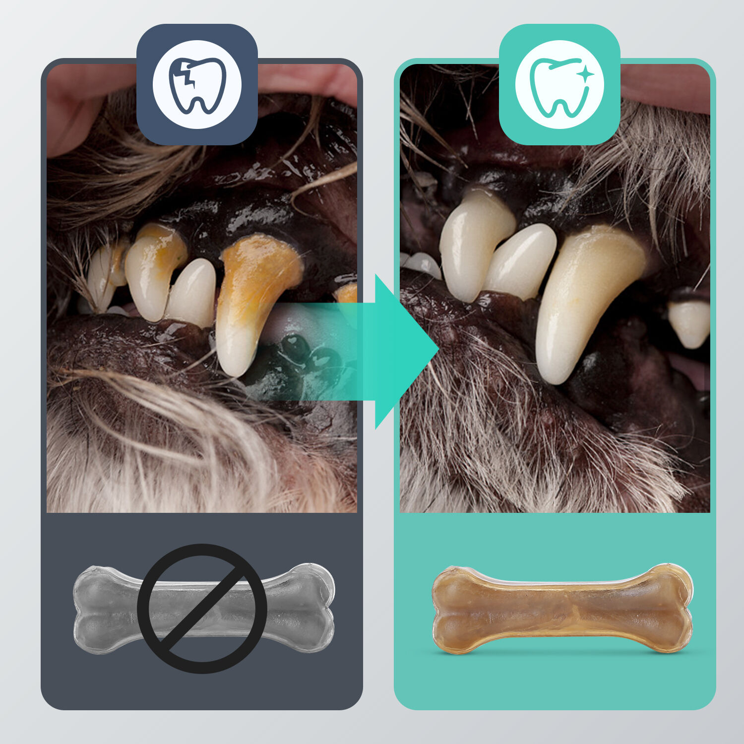 Nobleza Hueso Prensado dental para Perros thumbnail