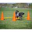 Juego de entrenamiento con obst&aacute;culos para perros color Multicolor, , large indicador imagen numero 4