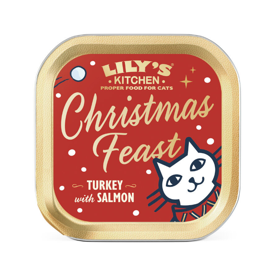 Lily's Kitchen Pate Pavo y Salmón para gatos