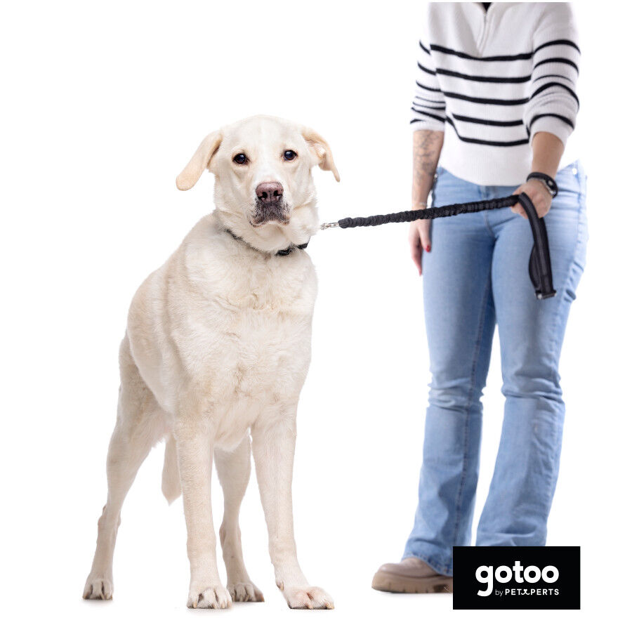 Gotoo Correa doble de nylon negra para perros thumbnail