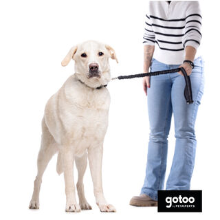 Gotoo Correa doble de nylon negra para perros