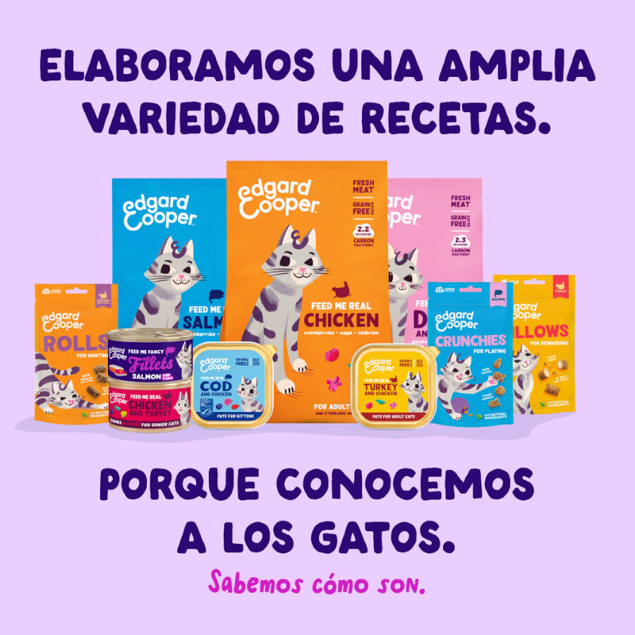 70 g Edgard & Cooper Filetes de Salm&oacute;n y At&uacute;n Lata para gatos, , large Imagen numero 8