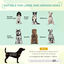 PawHut Cama Elevada Perros Negro, , large indicador imagen numero 4
