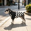 Gotoo Chaqueta Estampado ZigZag para perros, , large indicador imagen numero 1