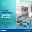 Virbac Effipro Duo Pipetas Antiparasitarias para gatos, , large indicador imagen numero 6
