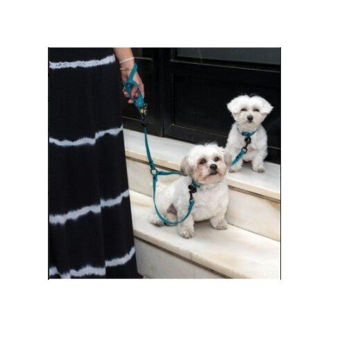 Correa doble para perros Groc Groc Lucky color Azul, , large Imagen numero 2