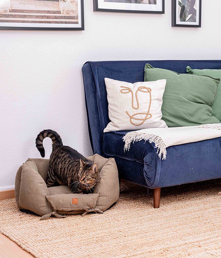 Pet and Co Cama De Lino Caqui Ronny - Perros y Gatos, , large Imagen numero 4