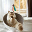 Nobleza-Juego de Juguetes para Gatos de 2 Piezas,Palo de Burla para Gatos,Juguete Pluma de Gato,Juguete Pluma de Gato Interactivo, , large indicador imagen numero 5
