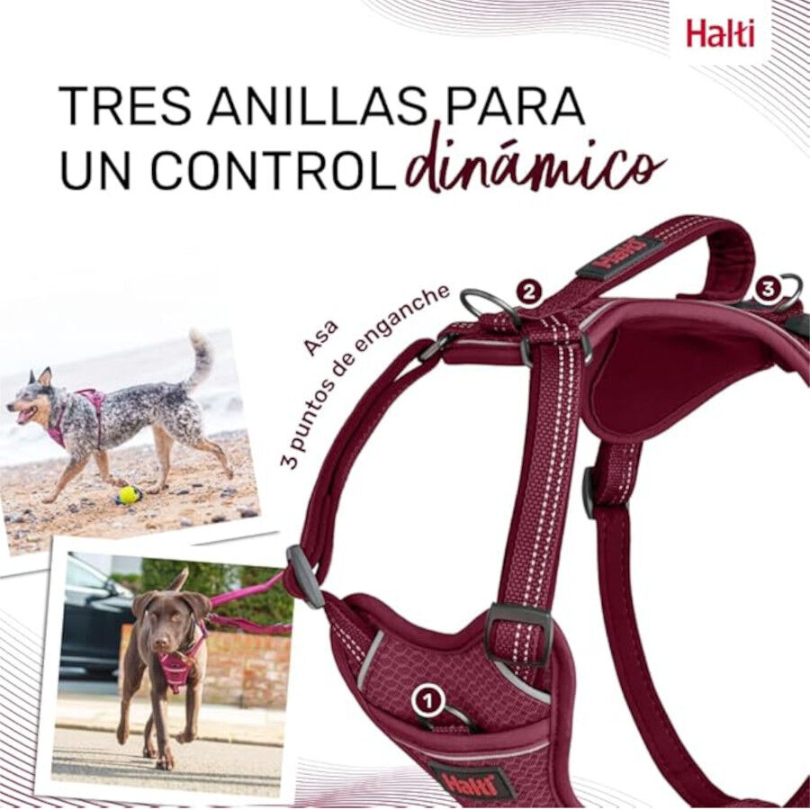 Halti arn&eacute;s anat&oacute;mico con asa magenta para perros, , large Imagen numero 4