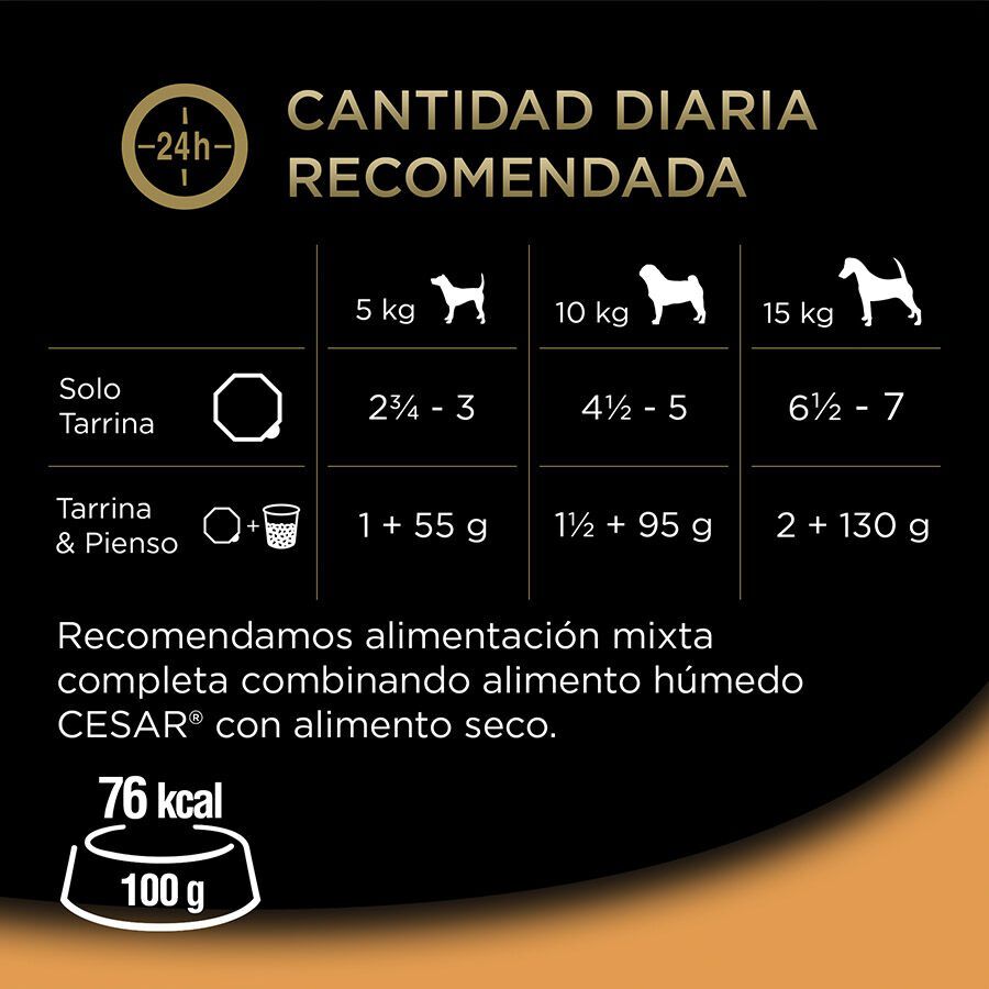 Cesar Recetas de la huerta Tarrina en Paté y Gelatina para Perros - Multipack thumbnail