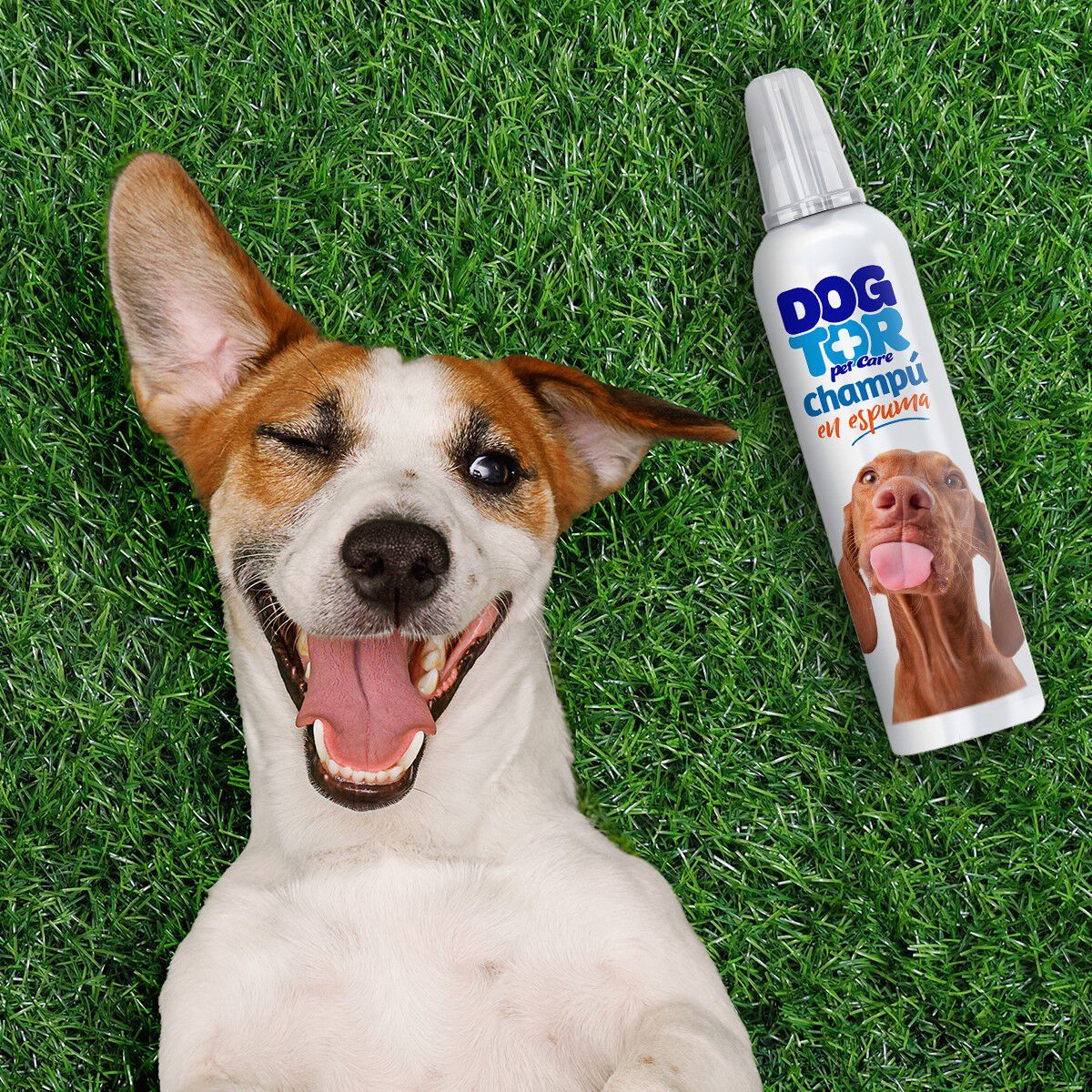 Champ&uacute; espuma seca Dogtor 200 ml, , large Imagen numero 2