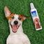 Champú espuma seca Dogtor 200 ml, , large indicador imagen numero 2