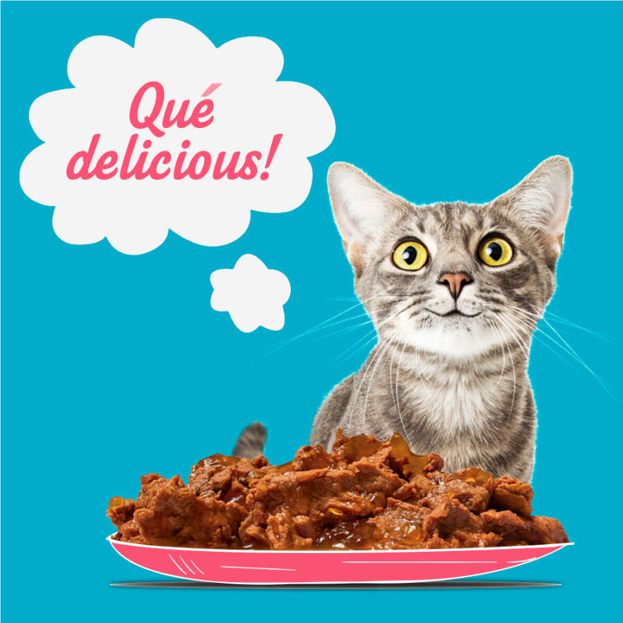 Start Cat Carne con Pollo y Pescado en Gelatina sobre para gatos thumbnail