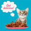 96 sobres x 100 g Start Cat Carne con Pollo y Pescado en Gelatina sobre para gatos, , large indicador imagen numero 5