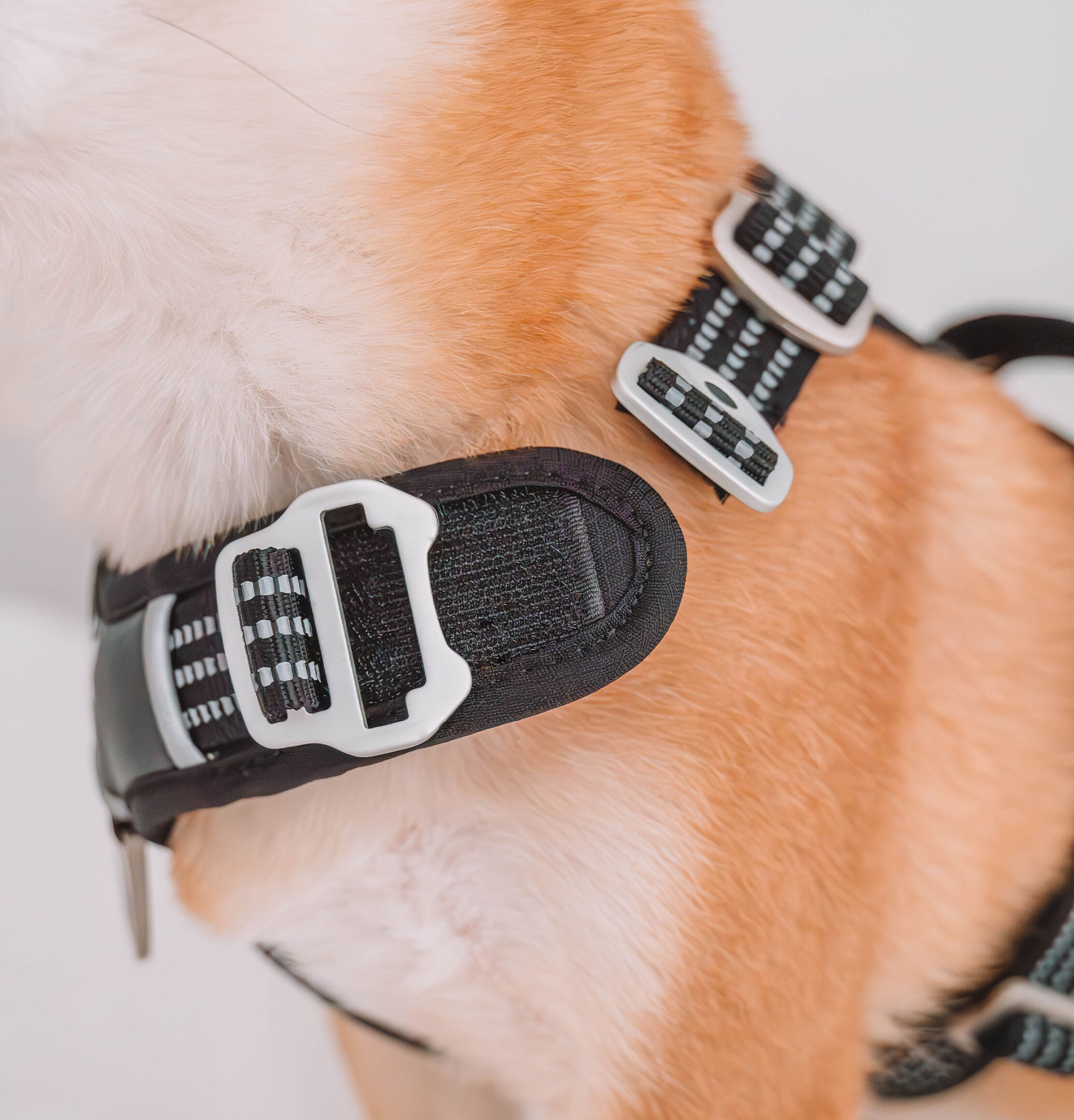 Arn&eacute;s Foxys Antitirones con hebillas aluminio reforzadas color Negro, , large Imagen numero 2