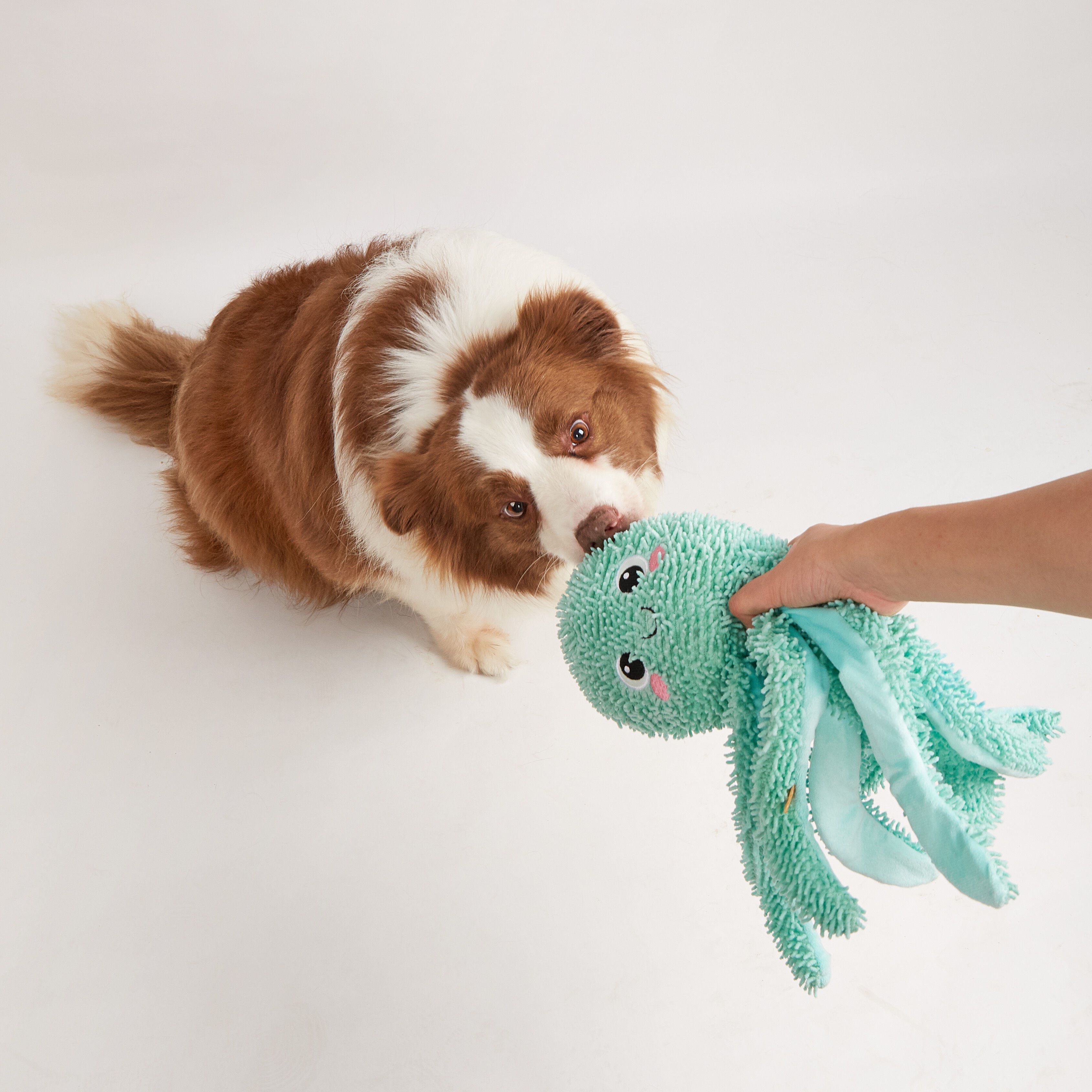 FOFOS | Peluche Pulpo (Verde) - Para Perro, , large Imagen numero 4