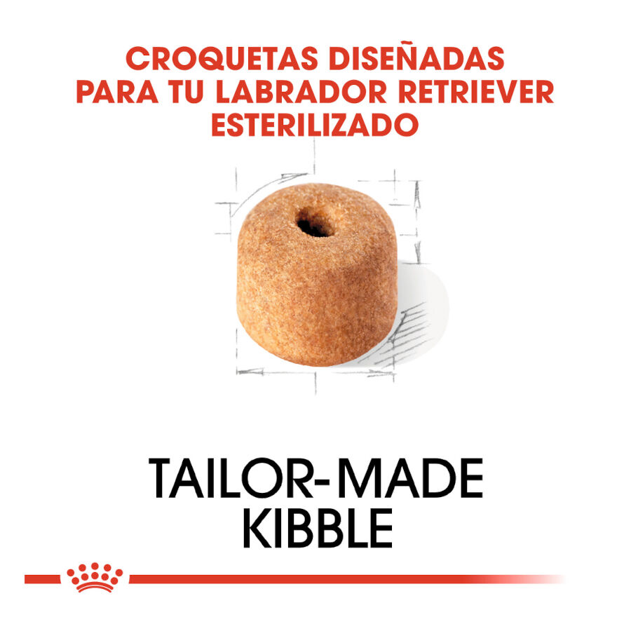 Royal Canin Adult Labrador Sterilised pienso para perros thumbnail